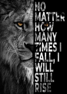 'I Will Rise' Poster by Five Senses Art | Displate Ge Aldrig Upp, Black And White Lion, Lion Poster, Lion Wall Art, Lion Canvas, White Lion