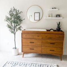 a wooden dresser sitting next to a potted plant on top of a white rug