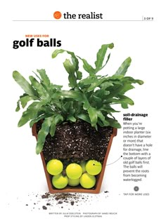 an advertisement for the realist showing tennis balls in a planter with green leaves