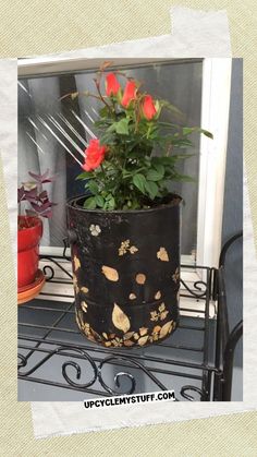 a potted plant sitting on top of a metal rack