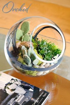 a glass vase filled with succulents on top of a table next to a book