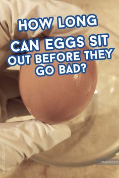 How long can eggs sit out before they go bad? Fresh Egg, Sit Out, Farm Fresh Eggs