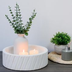 two white vases with plants in them on a table