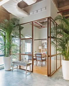 an office with glass walls and potted plants in the center, along with two chairs