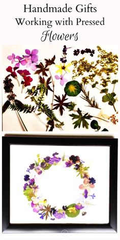 flowers are displayed in front of a white background with the words handmade gifts working with pressed flowers