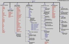 a large family tree with many names and numbers