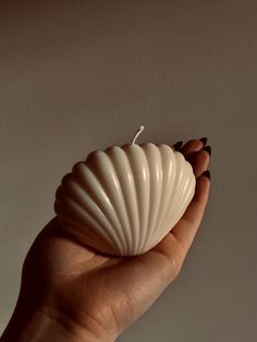 a woman's hand holding a white shell