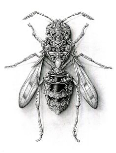 a black and white drawing of a bee with ornate details on its body, sitting on top of a vase