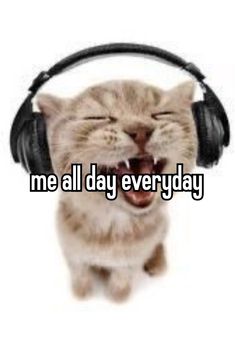 a cat wearing headphones with its mouth open and the words me all day everyday