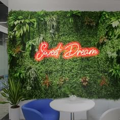 an indoor cafe with green walls and plants on the wall, along with two blue chairs