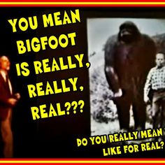 a man standing next to an elephant with the caption you mean bigfoot is really, really real?