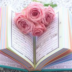 an open book with pink roses on top