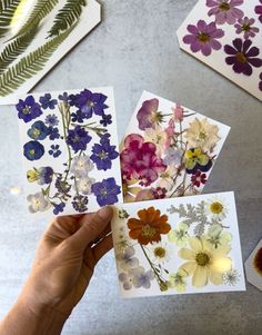 hand holding four cards with pressed flowers on them