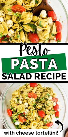 pasta salad recipe with cheese tortelli and spinach