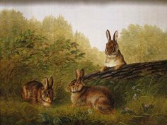 two rabbits sitting in the grass by a fallen tree trunk with another rabbit looking on