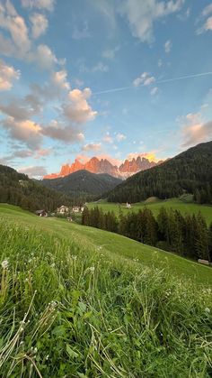 the mountains are covered in green grass and trees