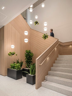 the stairs are lined with planters and potted plants