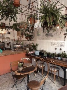 two wooden chairs sitting next to each other in a room with plants hanging from the ceiling