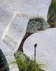 a concrete walkway with steps leading up to it and plants growing on the ground next to it