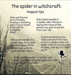 Spiders In Witchcraft, Black Widow Spider Spiritual Meaning, Spider Omens Witchcraft, Spider Witchcraft, Banishing Spell, Traditional Witchcraft, Easy Spells, Tarot Magic