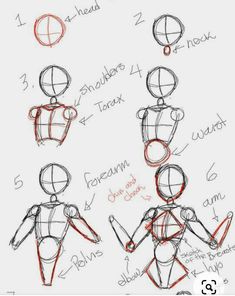 how to draw the human figure in 3 easy steps