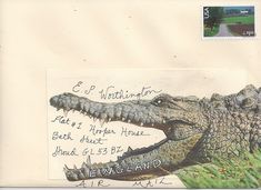 a postcard with an image of a crocodile on it's front and back side