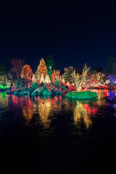 the lights on trees are reflecting in the water