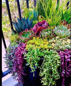 an arrangement of succulents and other plants in a vase