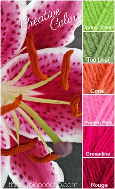 crochet flowers with the words creative colors in different colors and patterns on them