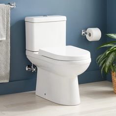 a white toilet sitting in a bathroom next to a plant and towel dispenser