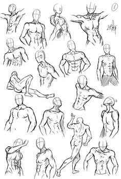 an image of the human figure sketches