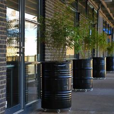 there are many planters on the side of the building that have plants in them