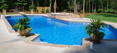 an empty swimming pool surrounded by palm trees