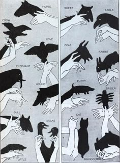 several different types of hands reaching out to each other, with the caption's above them