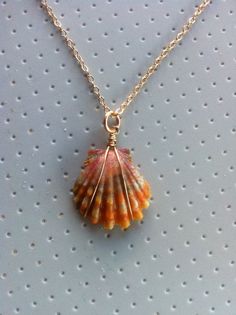 a sea shell is hanging from a gold chain