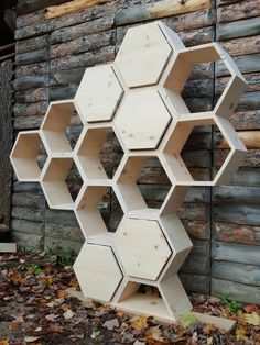 a bunch of shelves sitting on top of leaves in front of a wooden building with a brick wall behind it