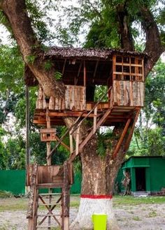 a tree house built into the side of a tree