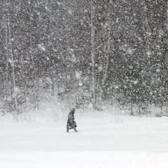 a person is walking through the snow in front of some trees with falling snow on them