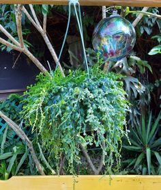 a potted plant in the middle of some trees and bushes with a disco ball hanging from it's top