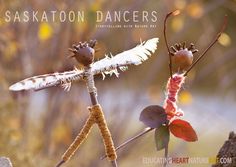 two dragonflys are perched on top of each other's wings, with the caption saskaton dancers