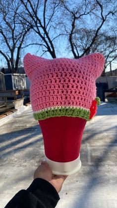 someone is holding up a knitted hat in the snow