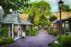 a street lined with lots of small houses and flowers growing on the side of it