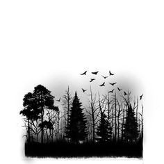 black and white photograph of birds flying over trees