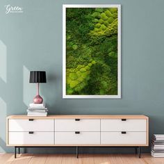 an aerial view of green moss growing on the side of a wall in a living room