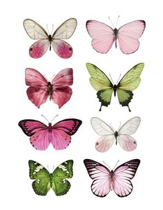 six different colored butterflies are shown in this image, one is green and the other is pink