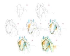 how to draw a horse's head with different angles and hair colors, step by step