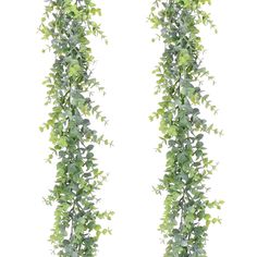 two green plants hanging from the side of a white wall