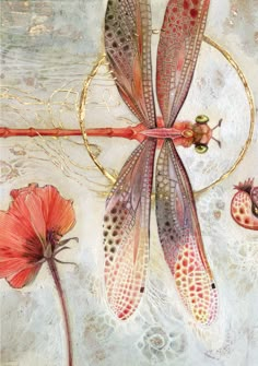 a dragonfly sitting on top of a red flower next to a pink poppy blossom