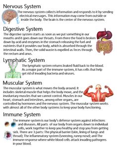 an info sheet describing the different types of muscles and how they are used to perform