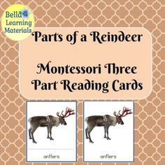 parts of a reindeer montessori three part reading cards